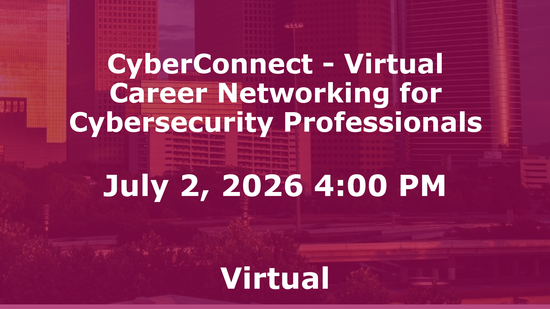 CyberConnect - Virtual Career Networking for Cybersecurity Professionals event image
